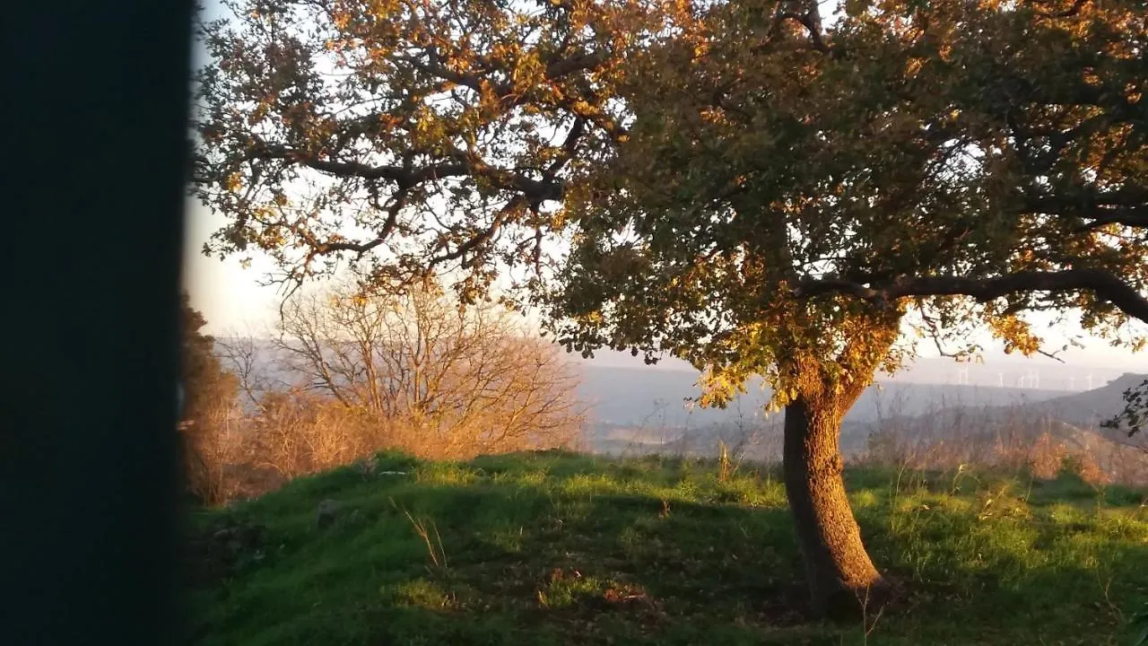 Su Montiju De Sa Falada Manna Cheremule Itálie