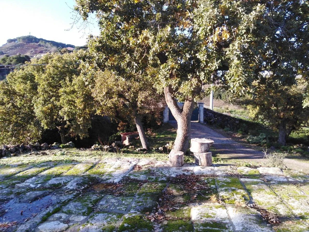 Su Montiju De Sa Falada Manna Cheremule 0*,