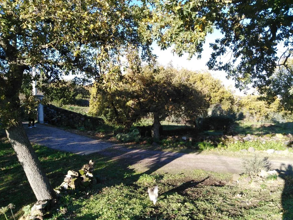 Apartment Su Montiju De Sa Falada Manna Cheremule